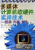 多媒体计算机软硬件实用技术(组装升级开发)/微机实用新技术丛书