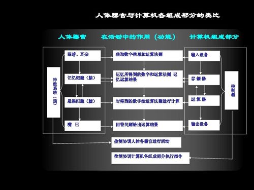 宁夏版信息技术七年级上册1.3.1计算机硬件系统的组成与基本结构 共45张ppt